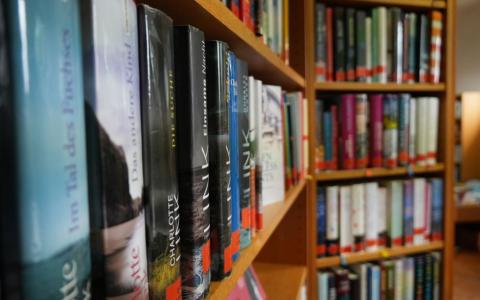 Regal gefüllt mit Bücher